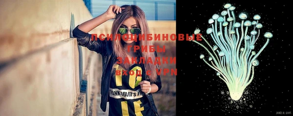 каннабис Коряжма